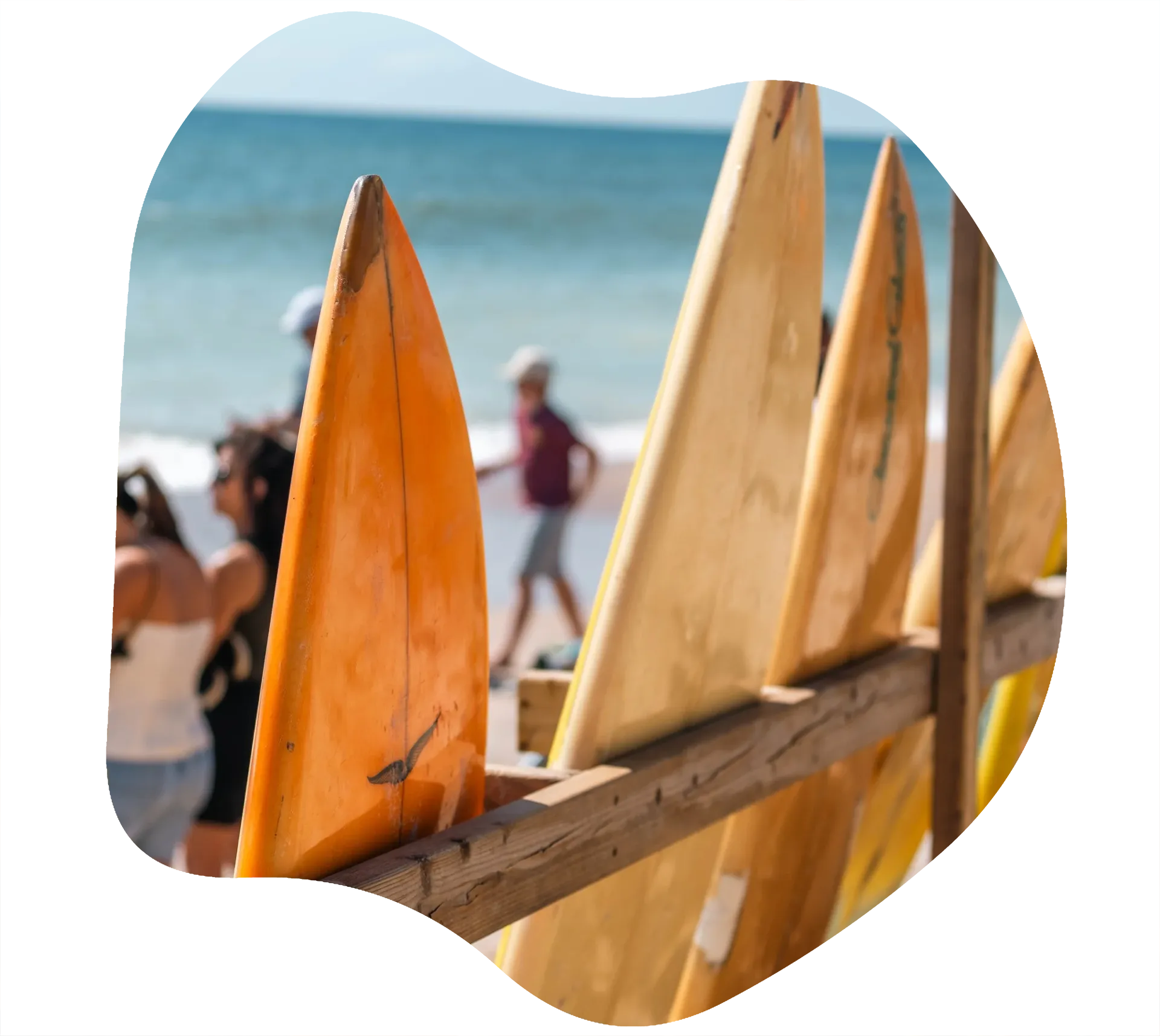 Surf Boards Contact Page Image